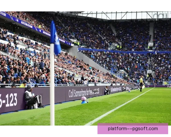 南安普顿在附加赛中战胜利兹联成功重返英超，喜迎复苏时刻